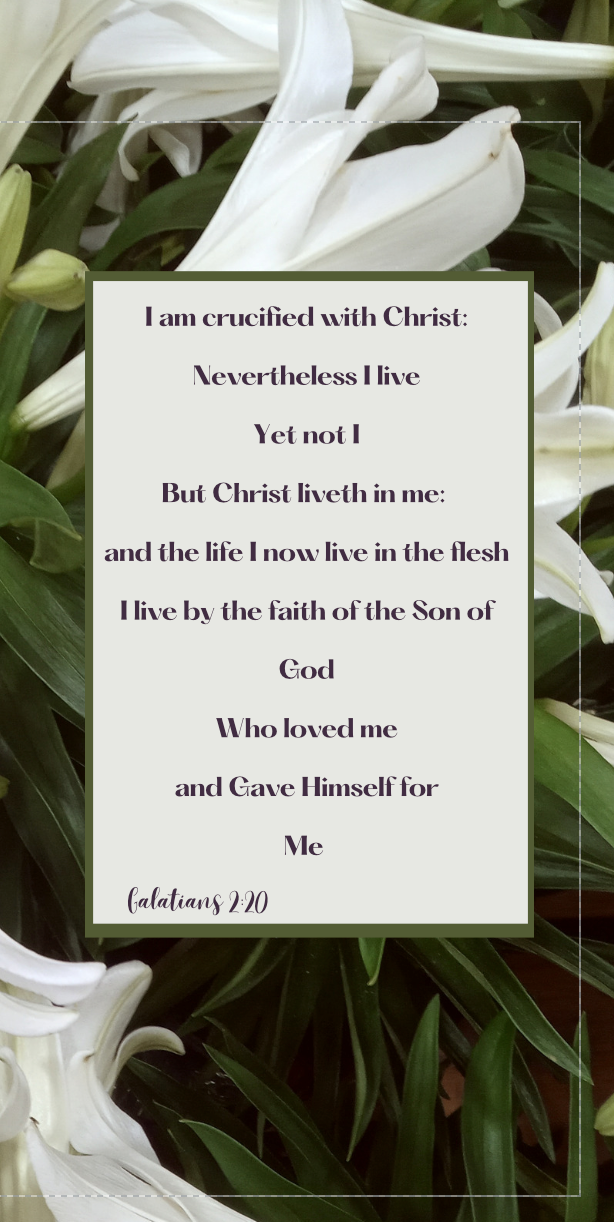 Galatians 2:20 Journal