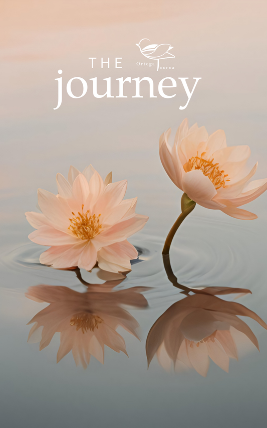The Journey - Kindle Edition